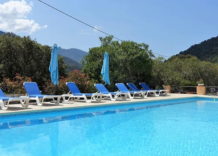 Cabanaccia 38m² By Interhome 公寓 *